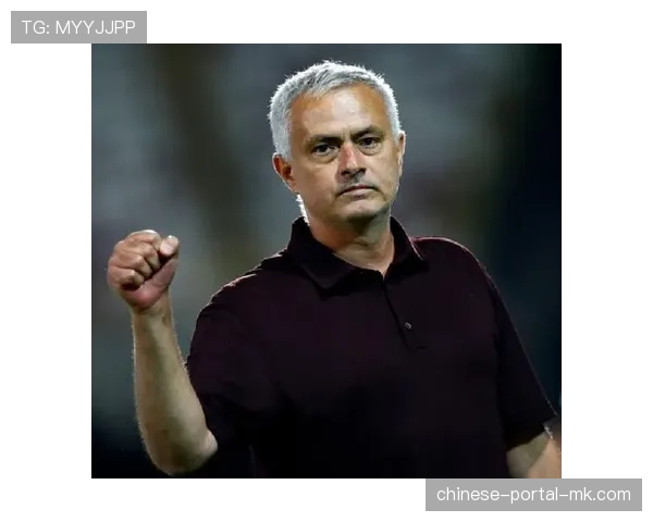 背景分析:财政因素如何影响意甲中小球队的防守构建——从转会策略到训练投入 背景分析:财政因素如何影响意甲中小球队的防守构建——从转会策略到训练投入